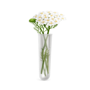 Mini vaso Supporto Adesivo Pz 12 Decorazioni Fioristi er Loculo Cimiteriale Portafiori Piccolo in Plastica Ø 3 cm h 10 cm art. SP259 Comil Plast Made in Italy colore neutro rame